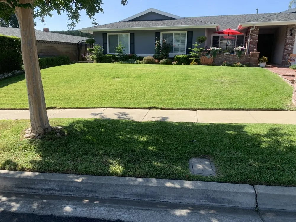 Affordable outdoor landscaping experts serving Rialto, CA - J&M Landscaping