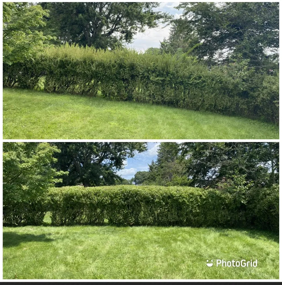 Custom lawn care service for residential properties across Sewickley, PA - Jm Landscaping