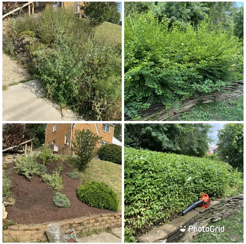 Top-rated garden landscaping for homes in Sewickley, PA by Jm Landscaping