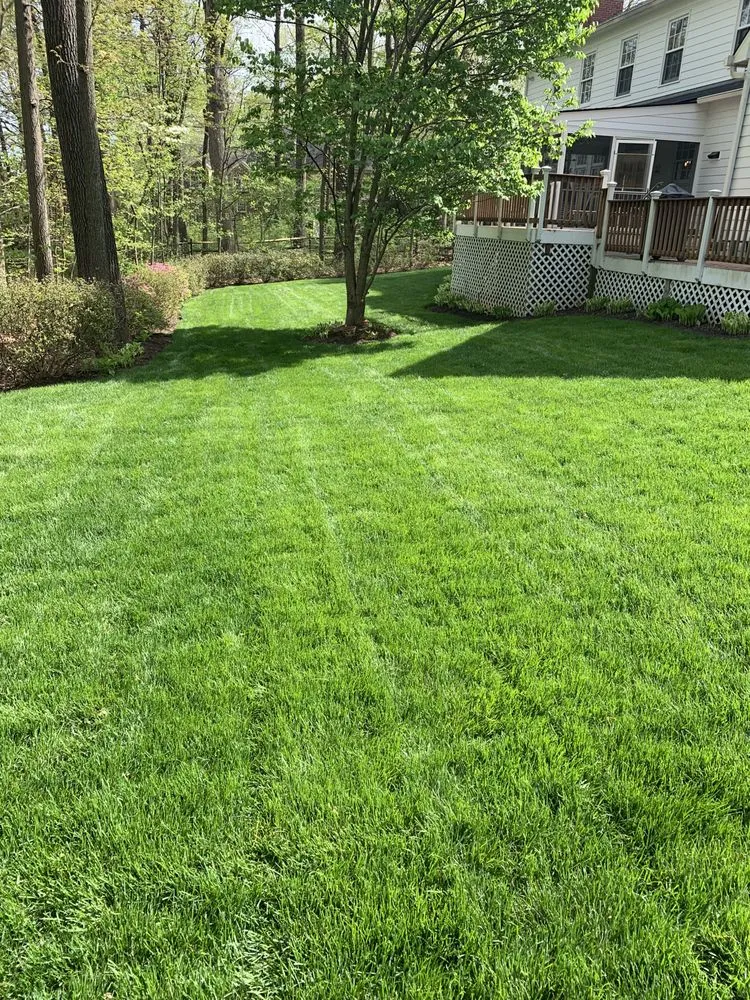 Reliable outdoor landscaping in Sterling, VA - J&M Landscaping