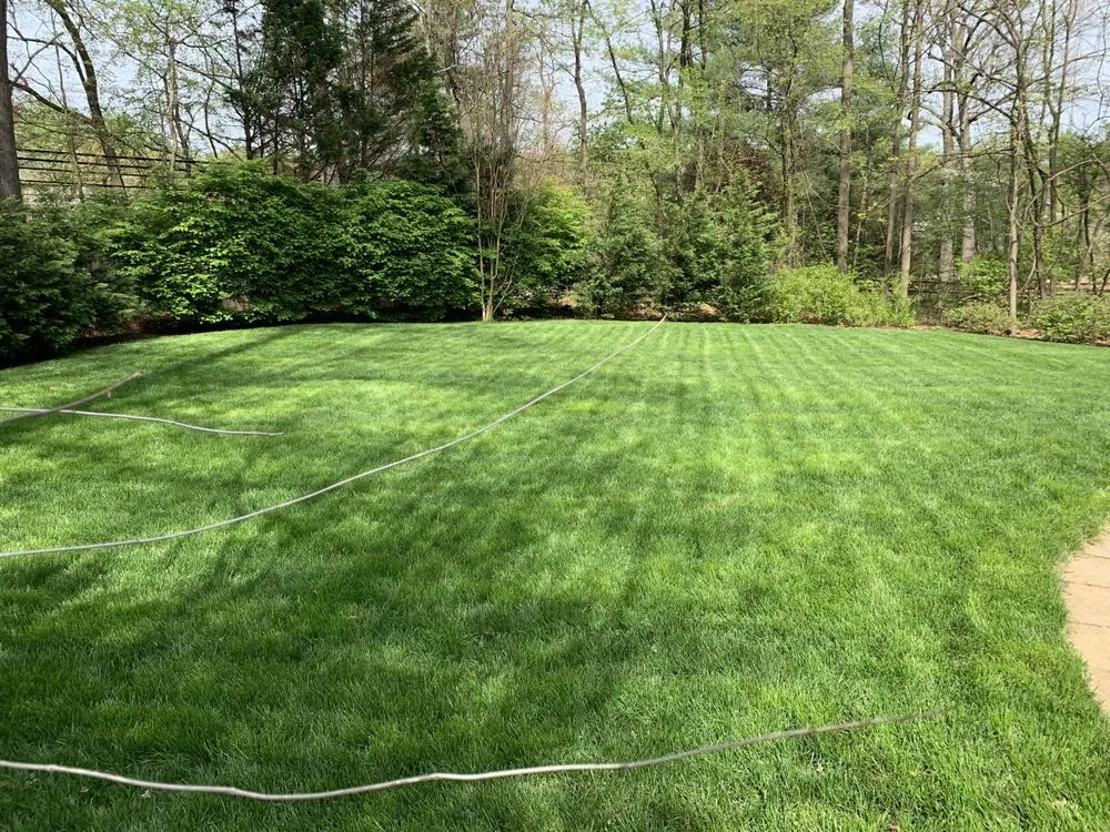 Trusted lawn mowing service experts serving Sterling, VA - J&M Landscaping