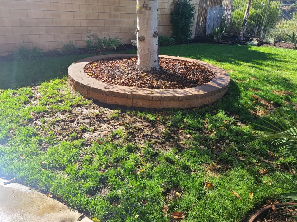 Custom lawn care service in Temecula, CA - J&M Landscaping