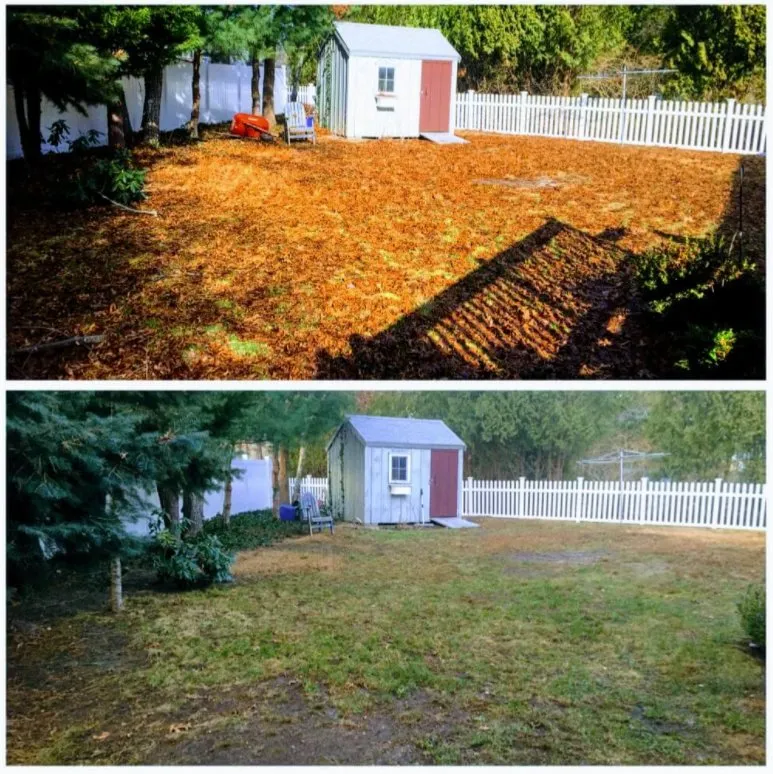 Professional residential landscaping for year-round maintenance in West Yarmouth, MA by JM Landscaping