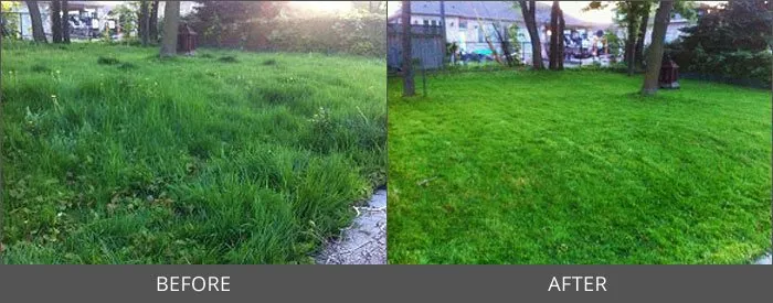 Trusted residential landscaping in Zanesville, IN by J&M Landscaping