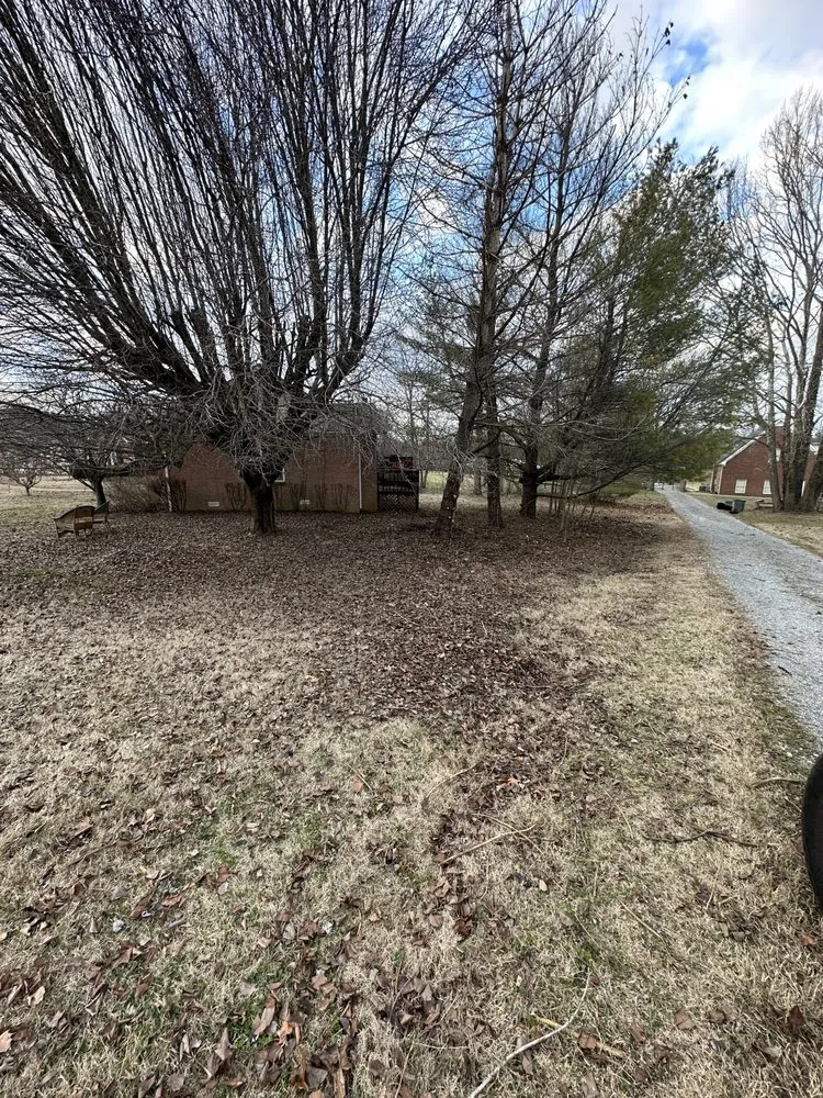 Professional lawn mowing service for outdoor upgrades in Hendersonville, TN by Jm Landscpaing