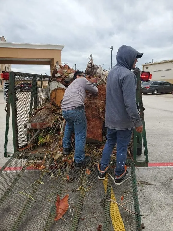 Custom garden landscaping in La Porte, TX - JM Lanscaping and Tree Services