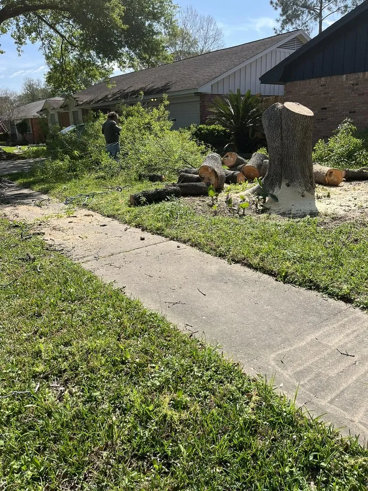 Local yard cleanup service near you across La Porte, TX - JM Lanscaping and Tree Services