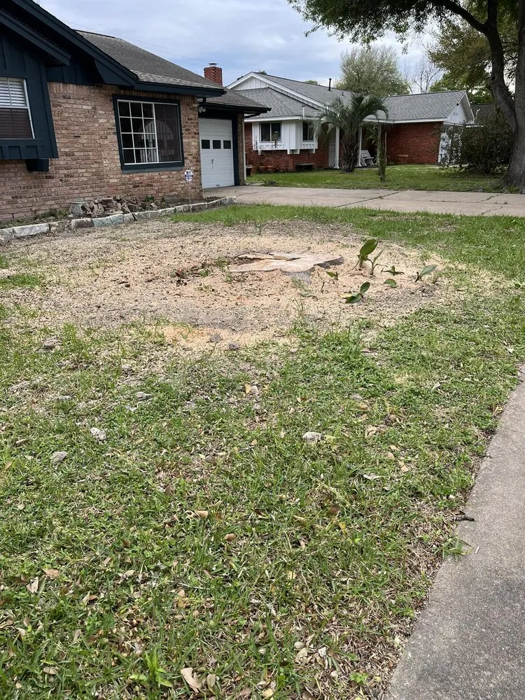 Expert yard maintenance in La Porte, TX - JM Lanscaping and Tree Services