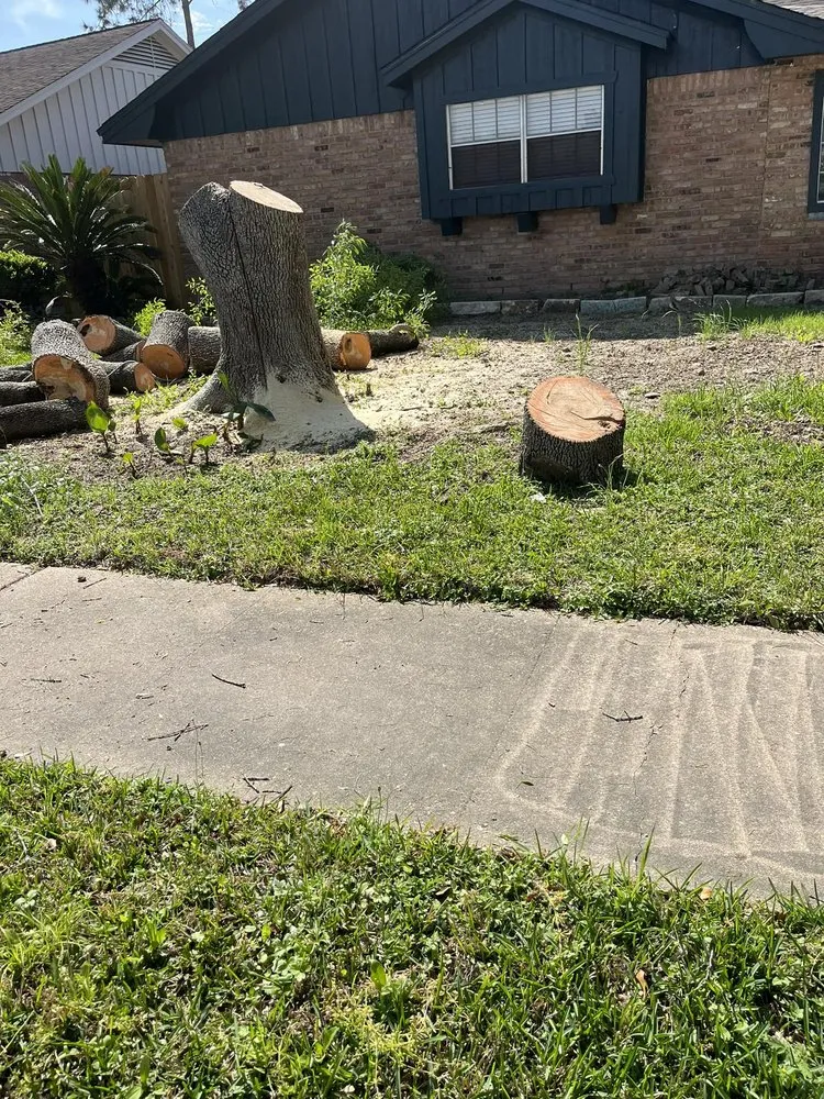 Reliable landscaping services near you in La Porte, TX by JM Lanscaping and Tree Services