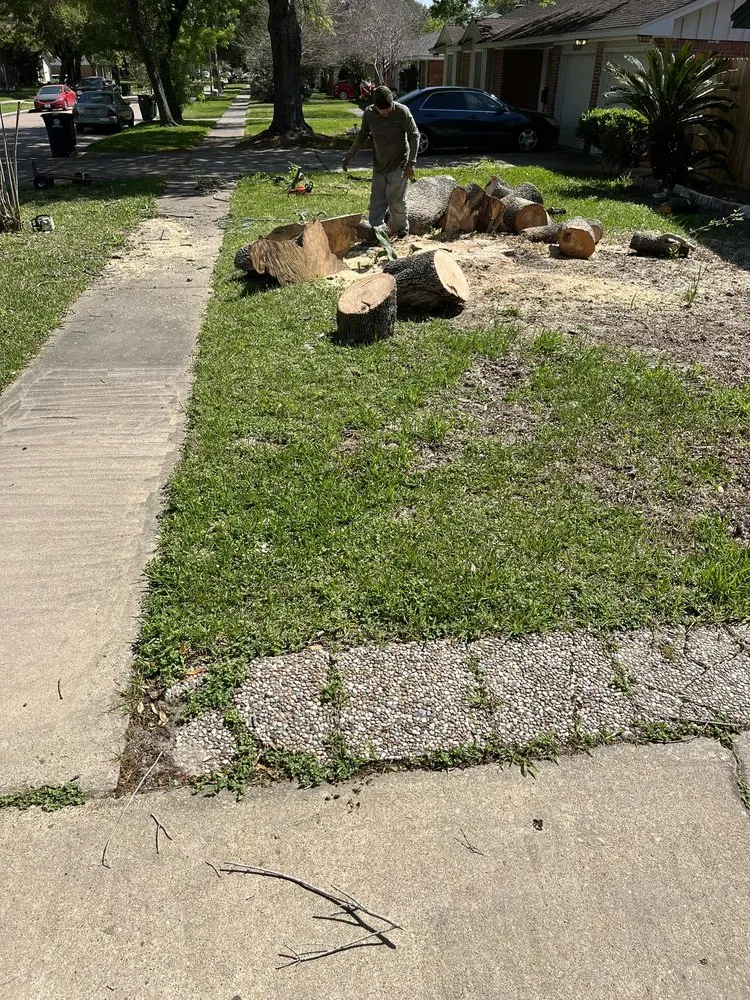 Expert yard maintenance near you in La Porte, TX by JM Lanscaping and Tree Services