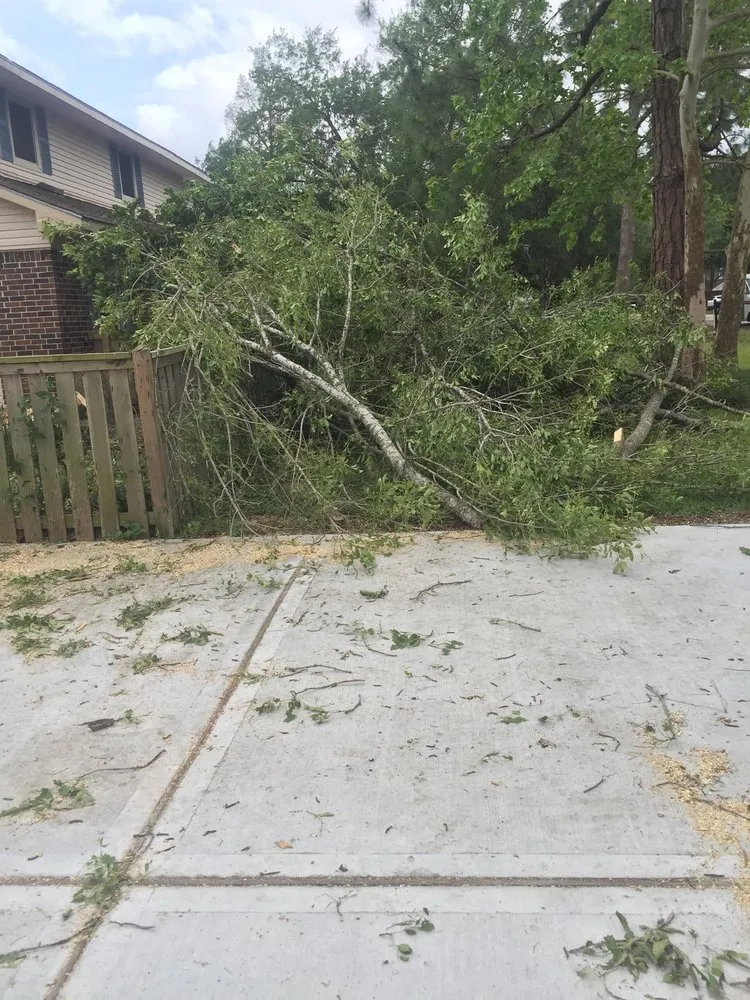 Reliable lawn care service for beautiful yards in La Porte, TX by JM Lanscaping and Tree Services