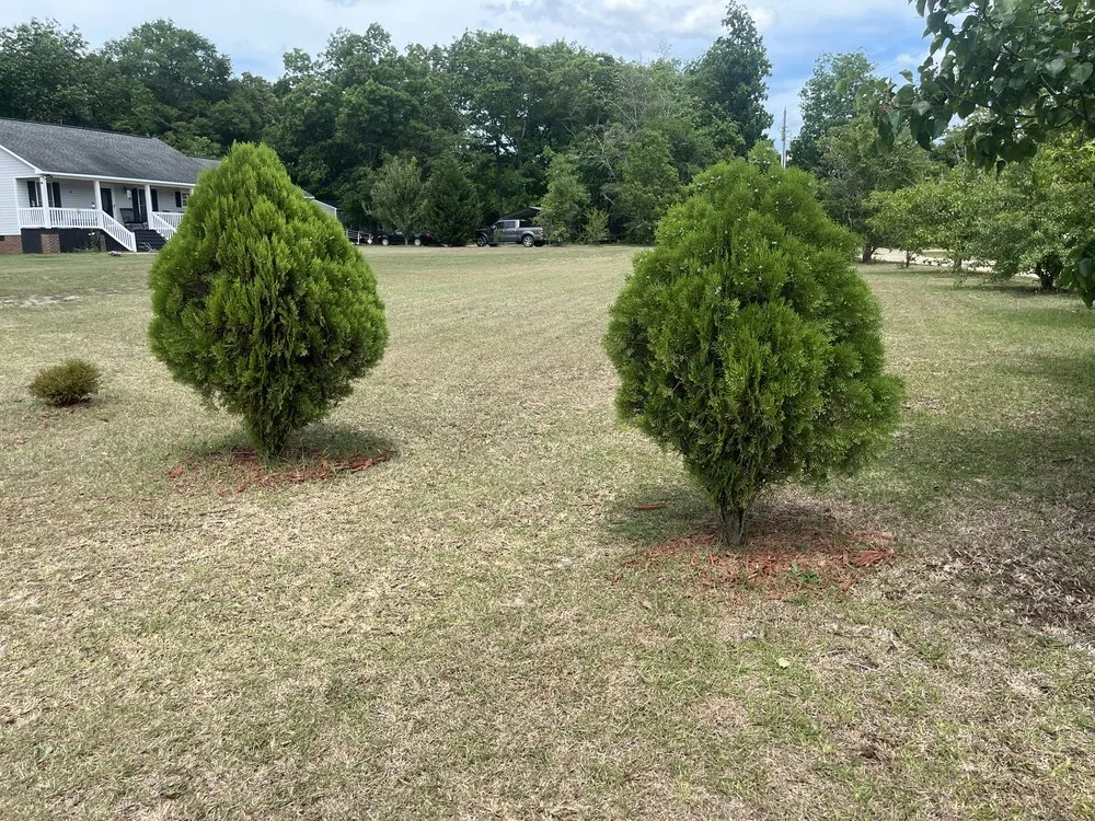 Top-rated landscape installation in Shannon, NC - J&m Lawmcare