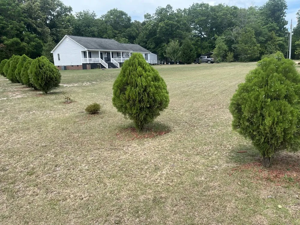Reliable yard cleanup service experts serving Shannon, NC - J&m Lawmcare