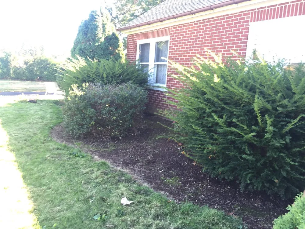 Expert residential landscaping in Telford, PA by J&M Lawn and Landscape