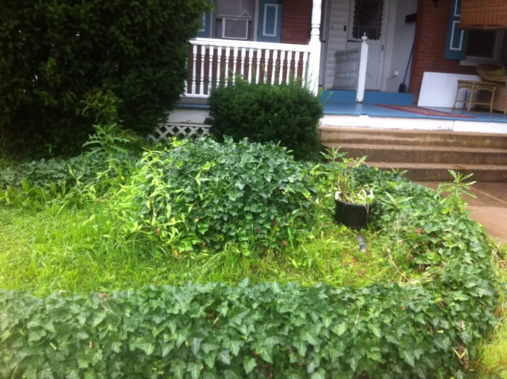 Professional yard maintenance for outdoor upgrades across Telford, PA - J&M Lawn and Landscape