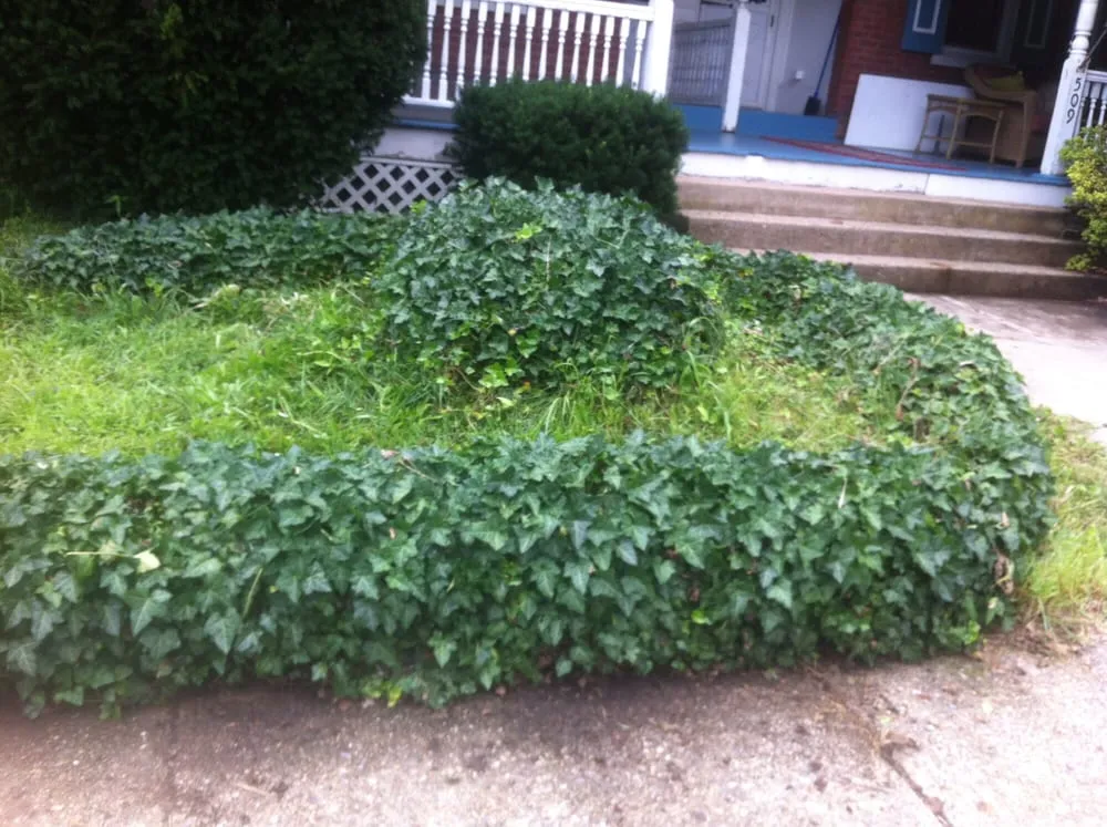 Local yard maintenance for outdoor upgrades in Telford, PA by J&M Lawn and Landscape