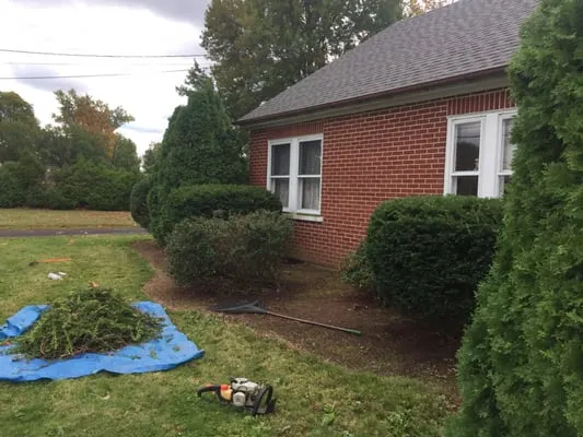 J&M Lawn and Landscape