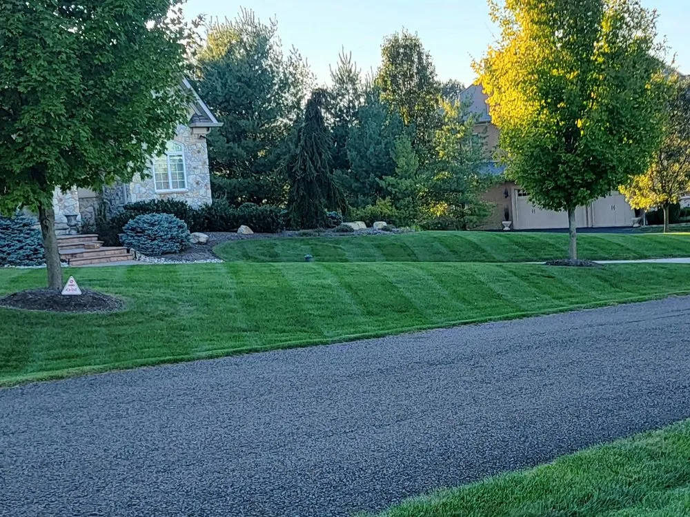 Reliable yard cleanup service for year-round maintenance in Langhorne, PA by JM Lawn and Landscaping