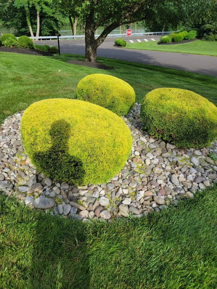 Trusted landscaping services for year-round maintenance across Langhorne, PA - JM Lawn and Landscaping