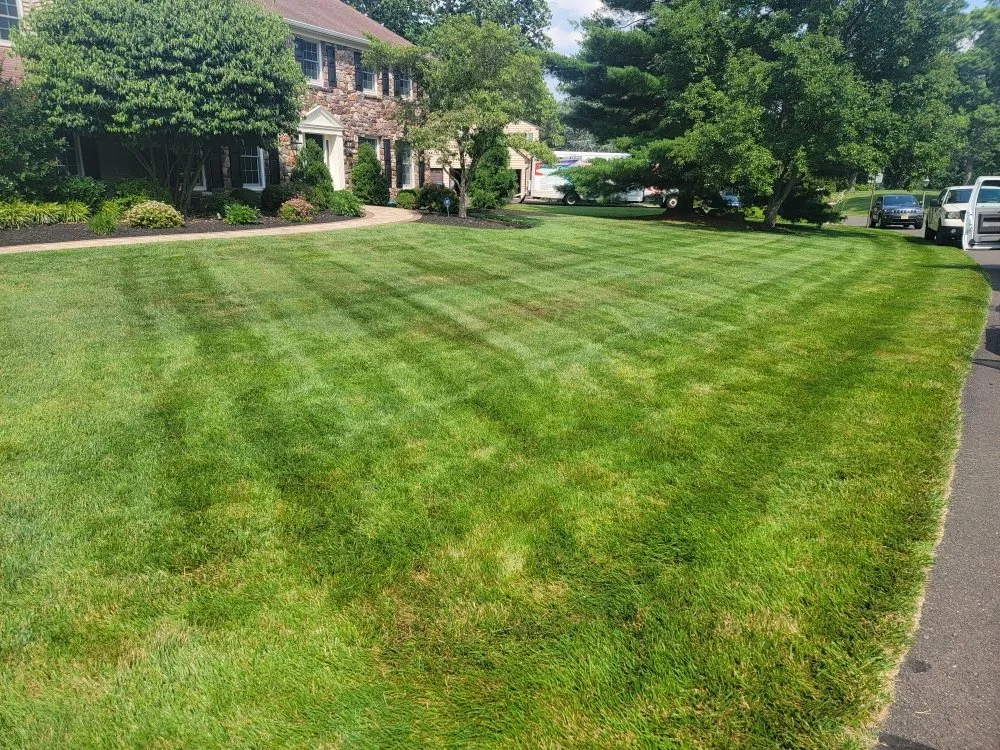 Top-rated yard maintenance for outdoor upgrades in Langhorne, PA by JM Lawn and Landscaping