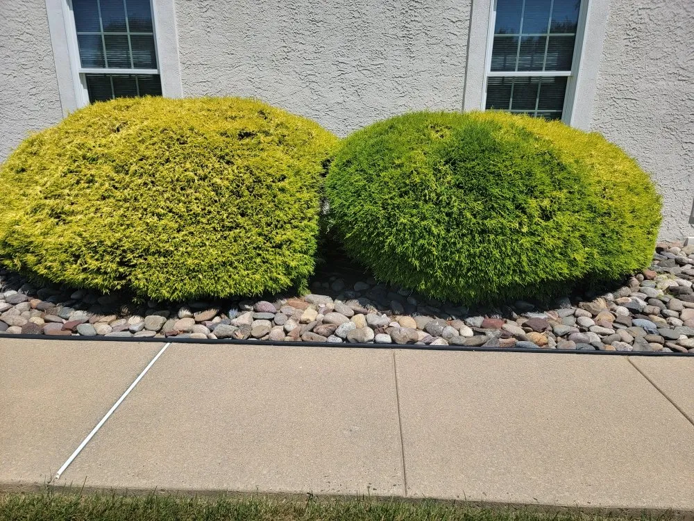 Expert yard maintenance in Langhorne, PA - JM Lawn and Landscaping