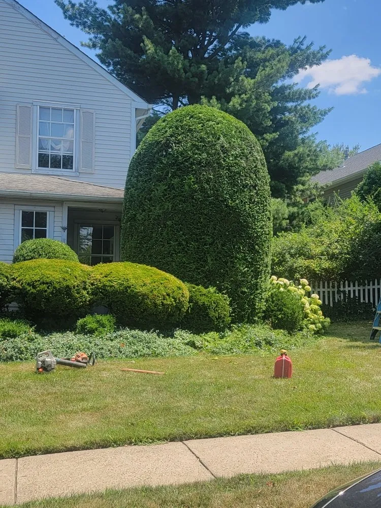 Expert residential landscaping for homes in Langhorne, PA by JM Lawn and Landscaping