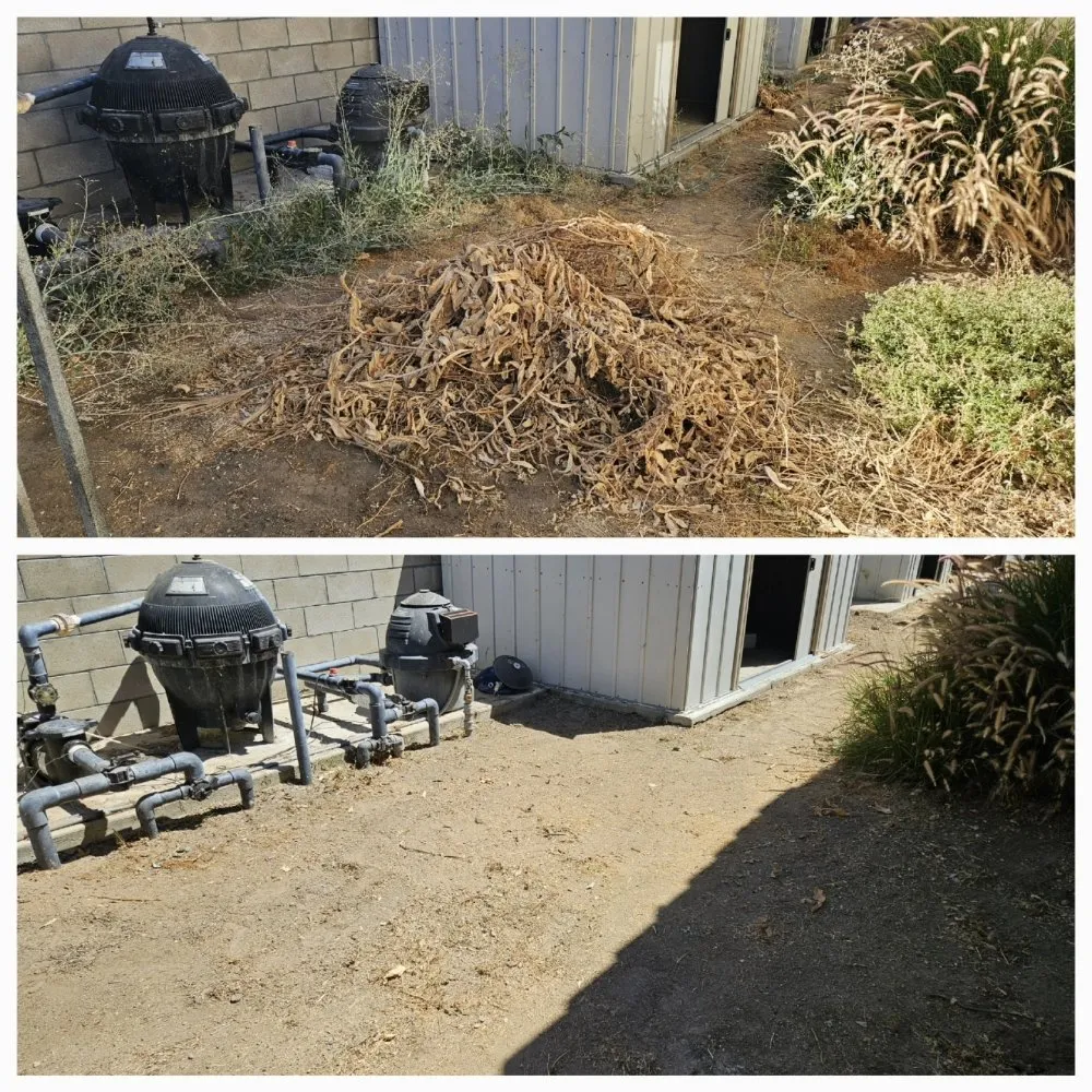Affordable landscape installation with custom design across Bakersfield, CA - J&M Lawn Care