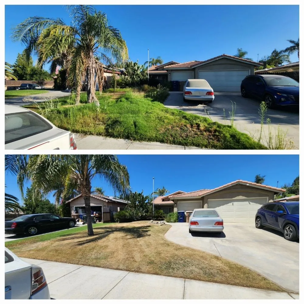 Affordable lawn care service in Bakersfield, CA by J&M Lawn Care