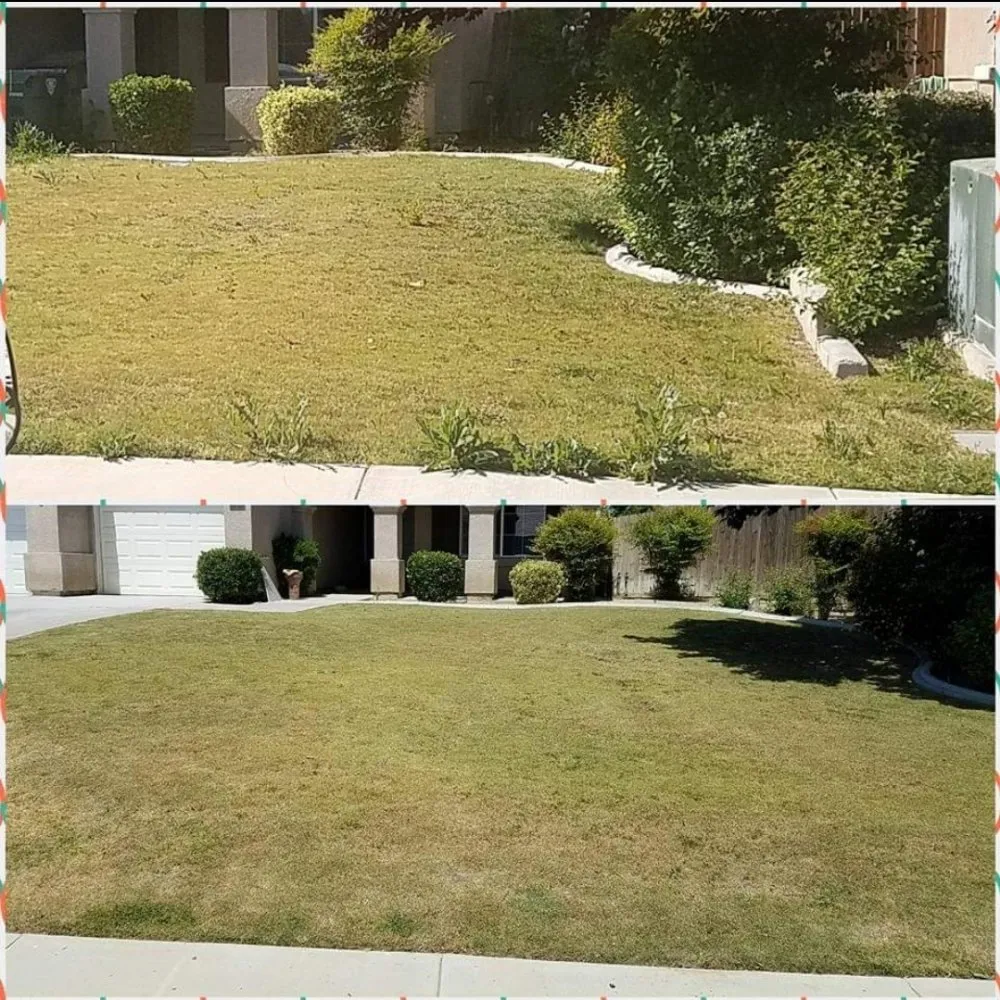 Professional landscaping services for beautiful yards across Bakersfield, CA - J&M Lawn Care