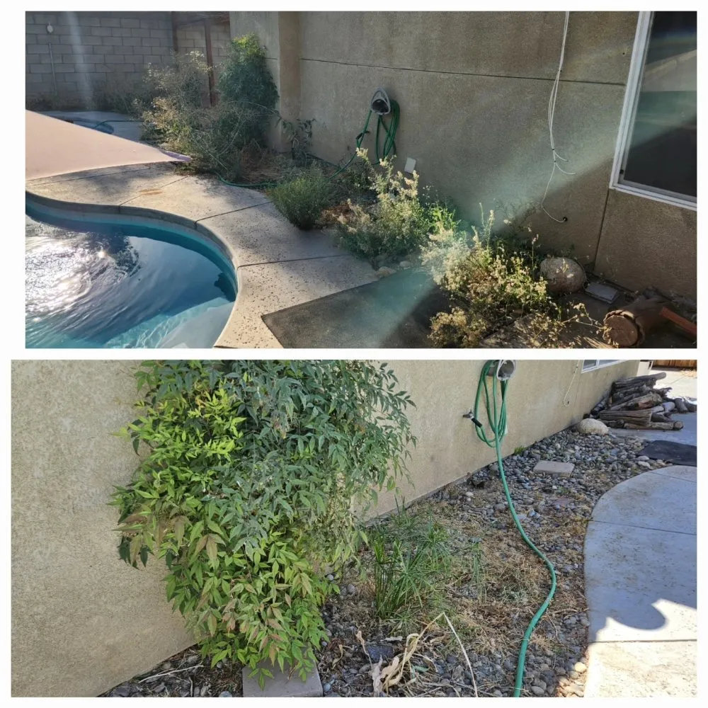 Expert residential landscaping with custom design across Bakersfield, CA - J&M Lawn Care