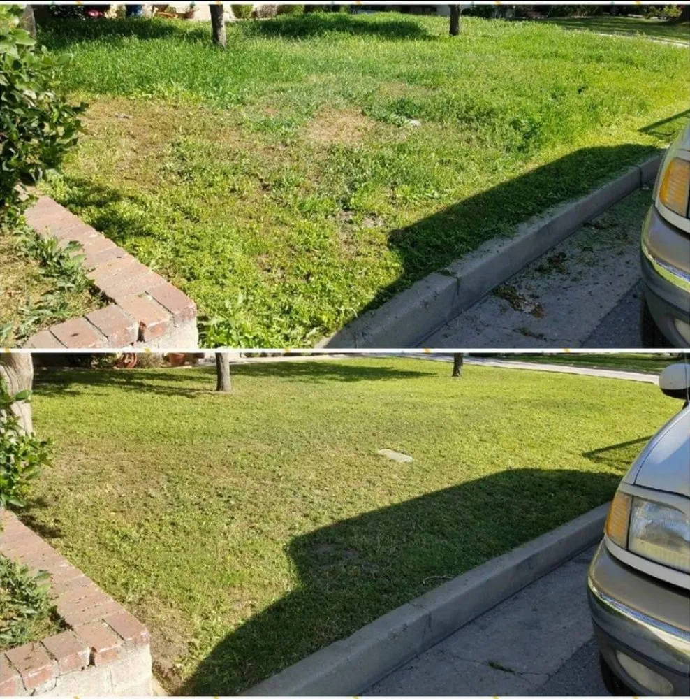Trusted lawn care service in Bakersfield, CA - J&M Lawn Care
