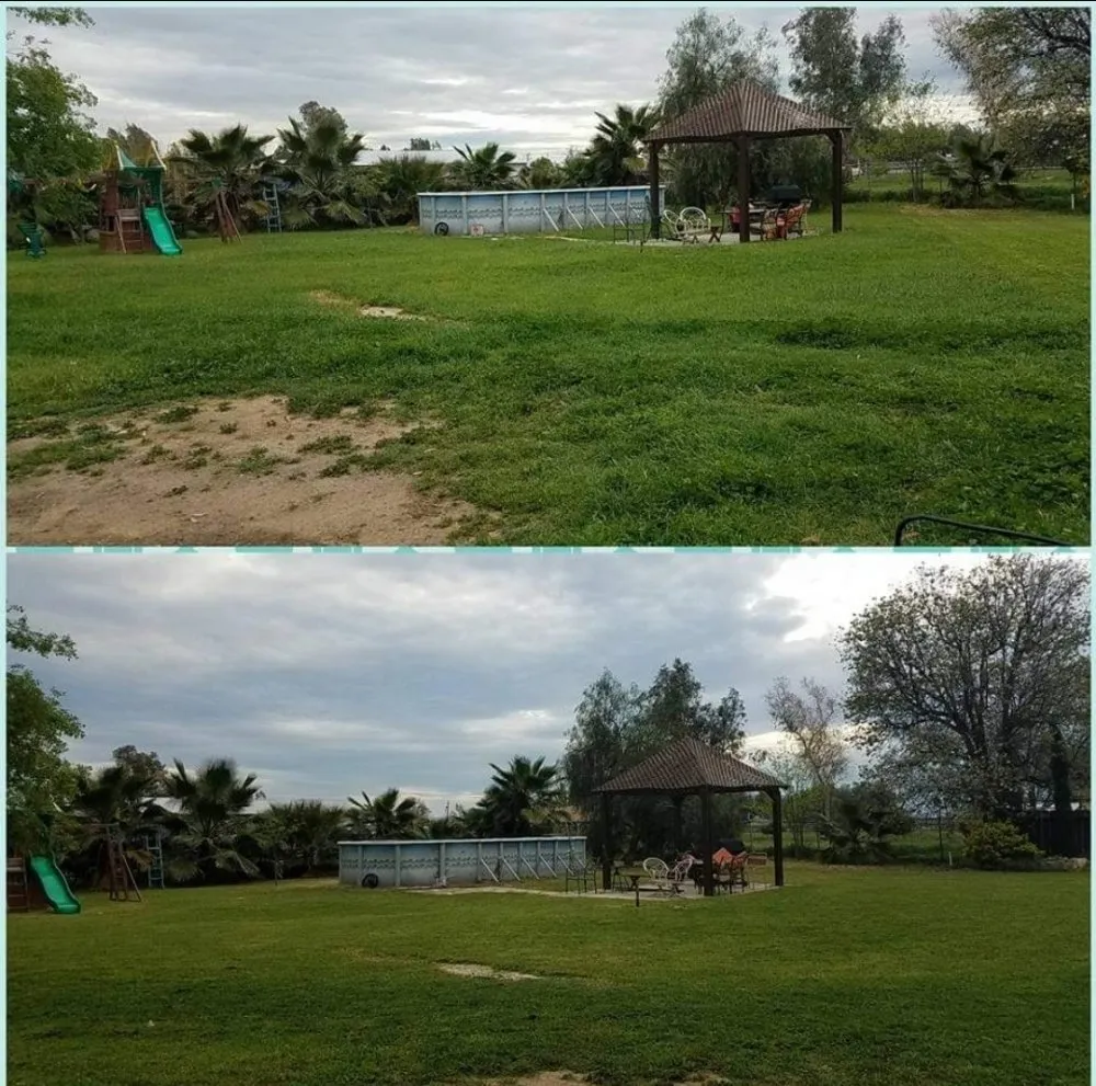 Professional yard cleanup service in Bakersfield, CA - J&M Lawn Care