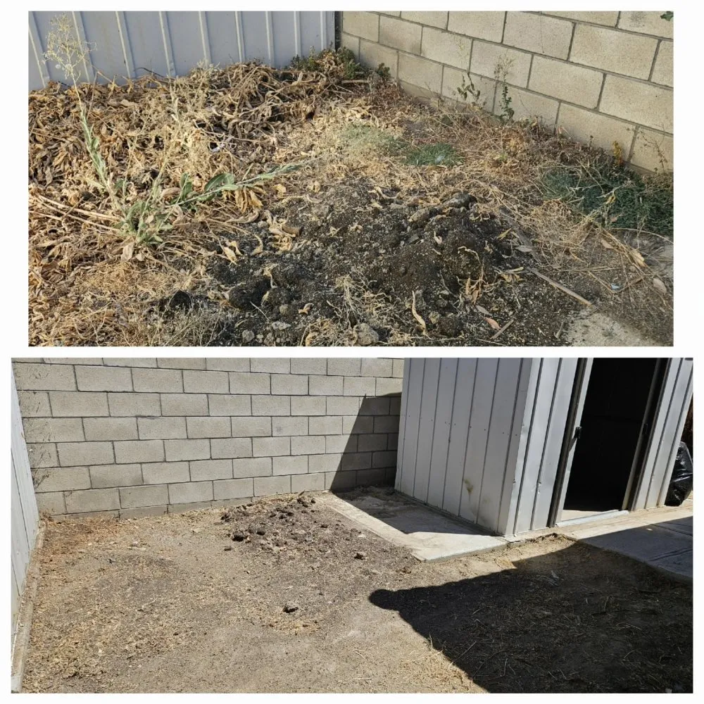 Top-rated landscaping services in Bakersfield, CA by J&M Lawn Care