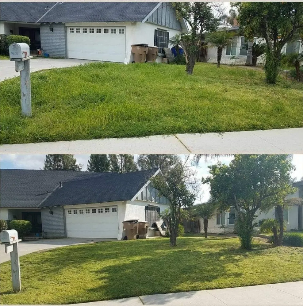 Reliable lawn mowing service for beautiful yards across Bakersfield, CA - J&M Lawn Care