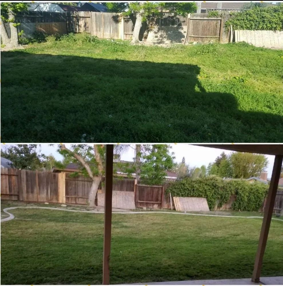 Local yard cleanup service experts serving Bakersfield, CA - J&M Lawn Care