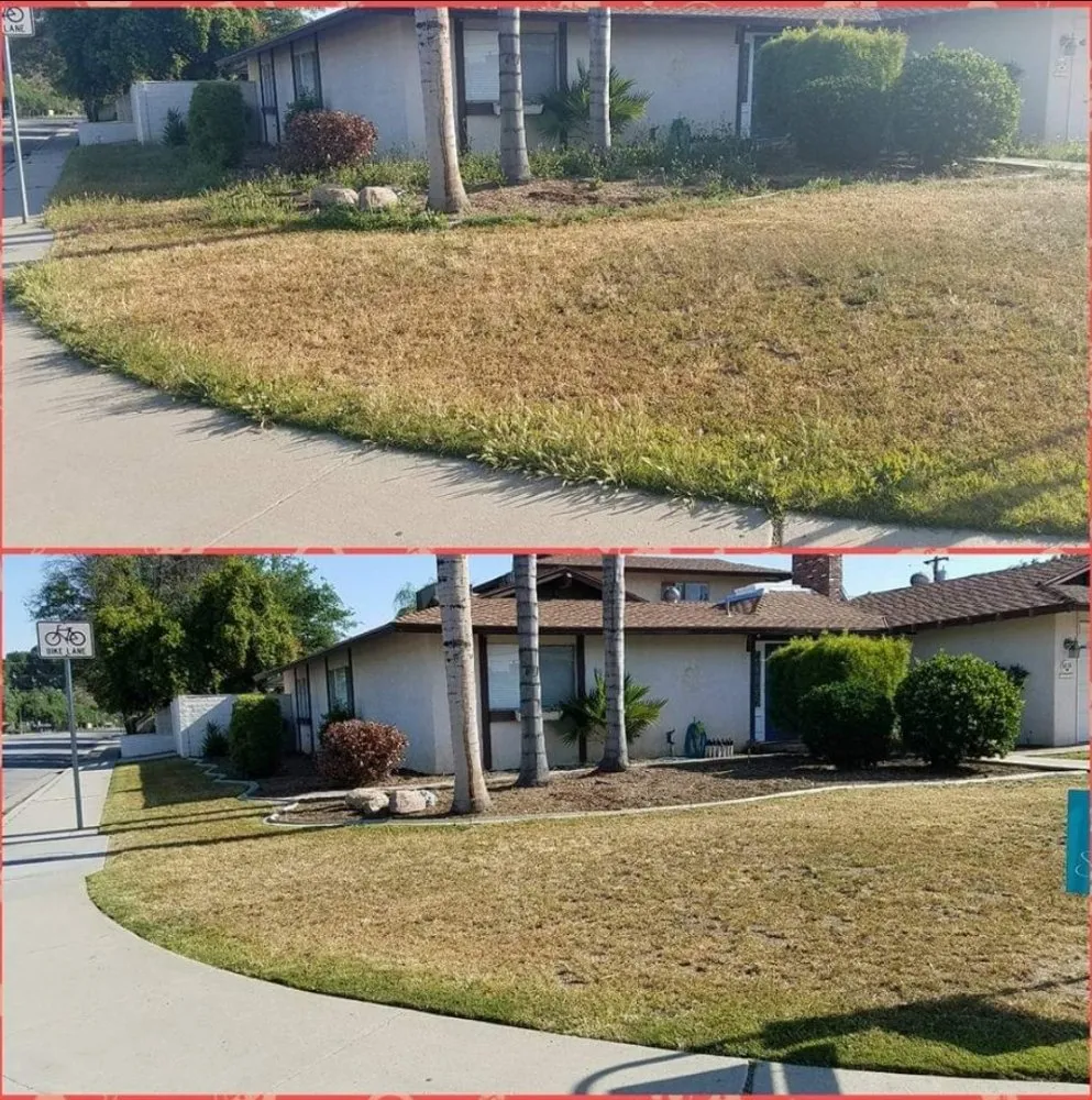 Trusted landscape design experts serving Bakersfield, CA - J&M Lawn Care