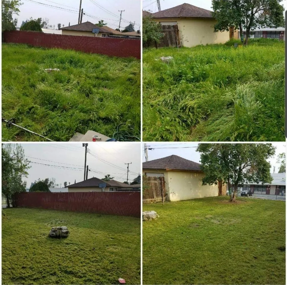 Professional landscaping services in Bakersfield, CA by J&M Lawn Care