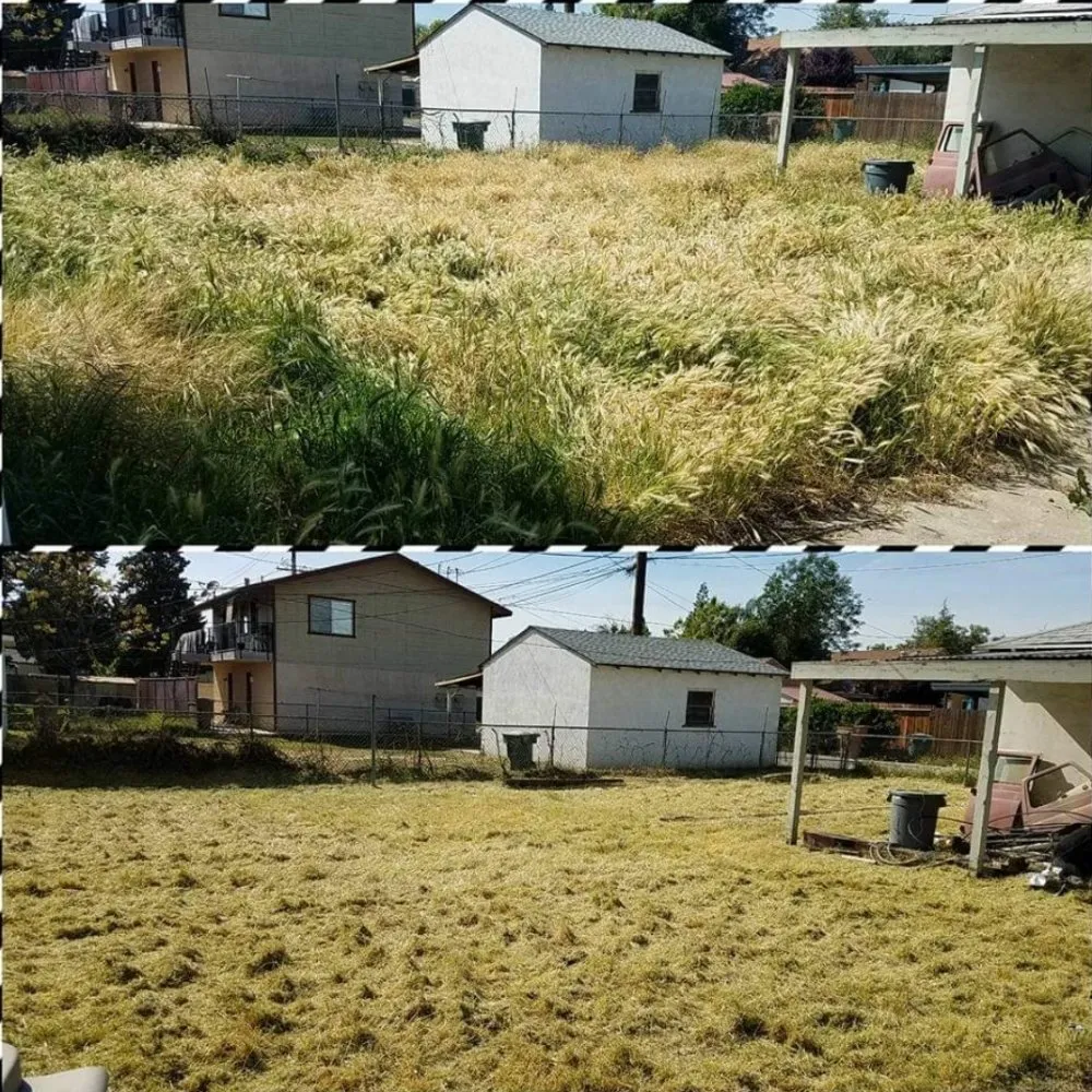 Expert residential landscaping for beautiful yards in Bakersfield, CA by J&M Lawn Care