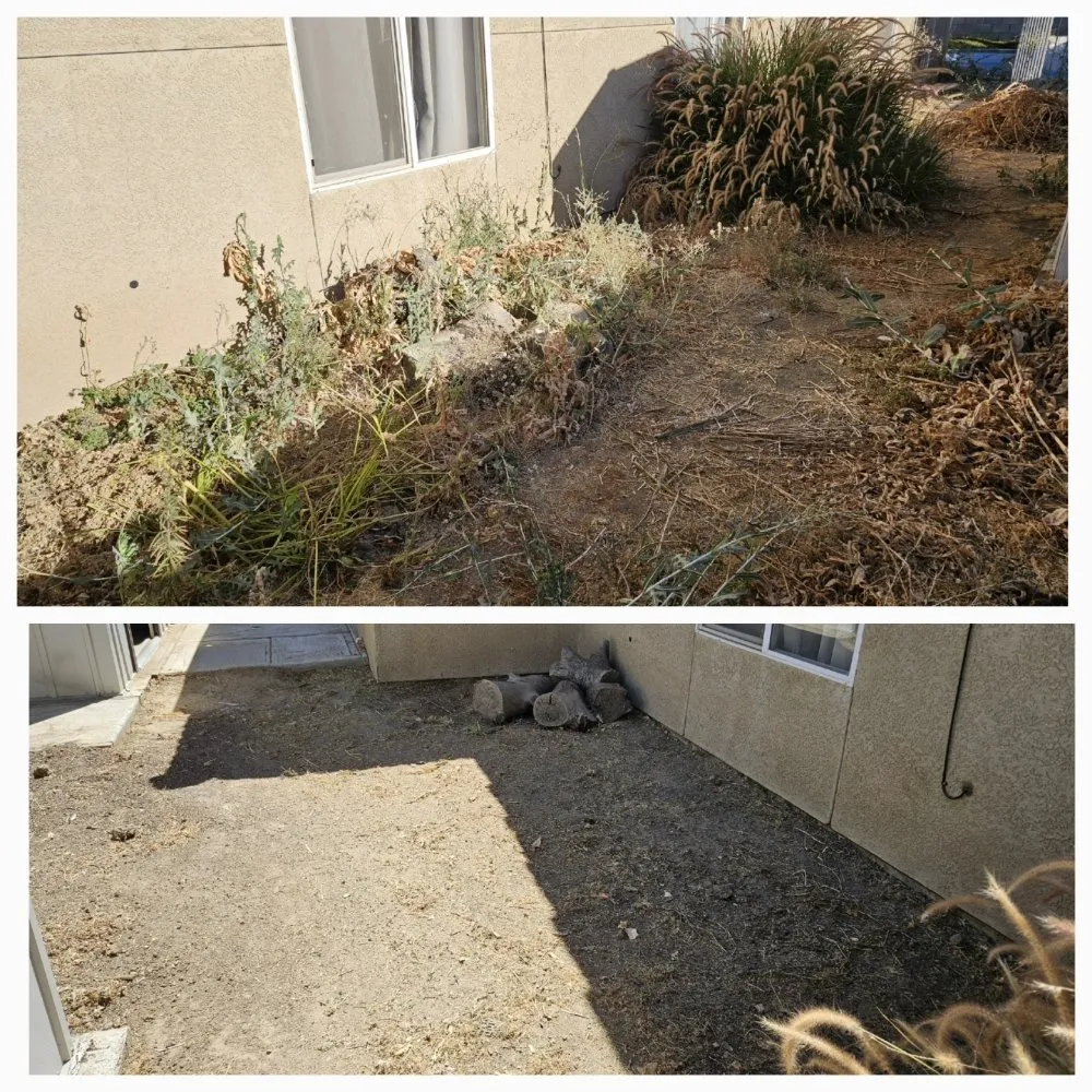 Expert landscape installation in Bakersfield, CA by J&M Lawn Care