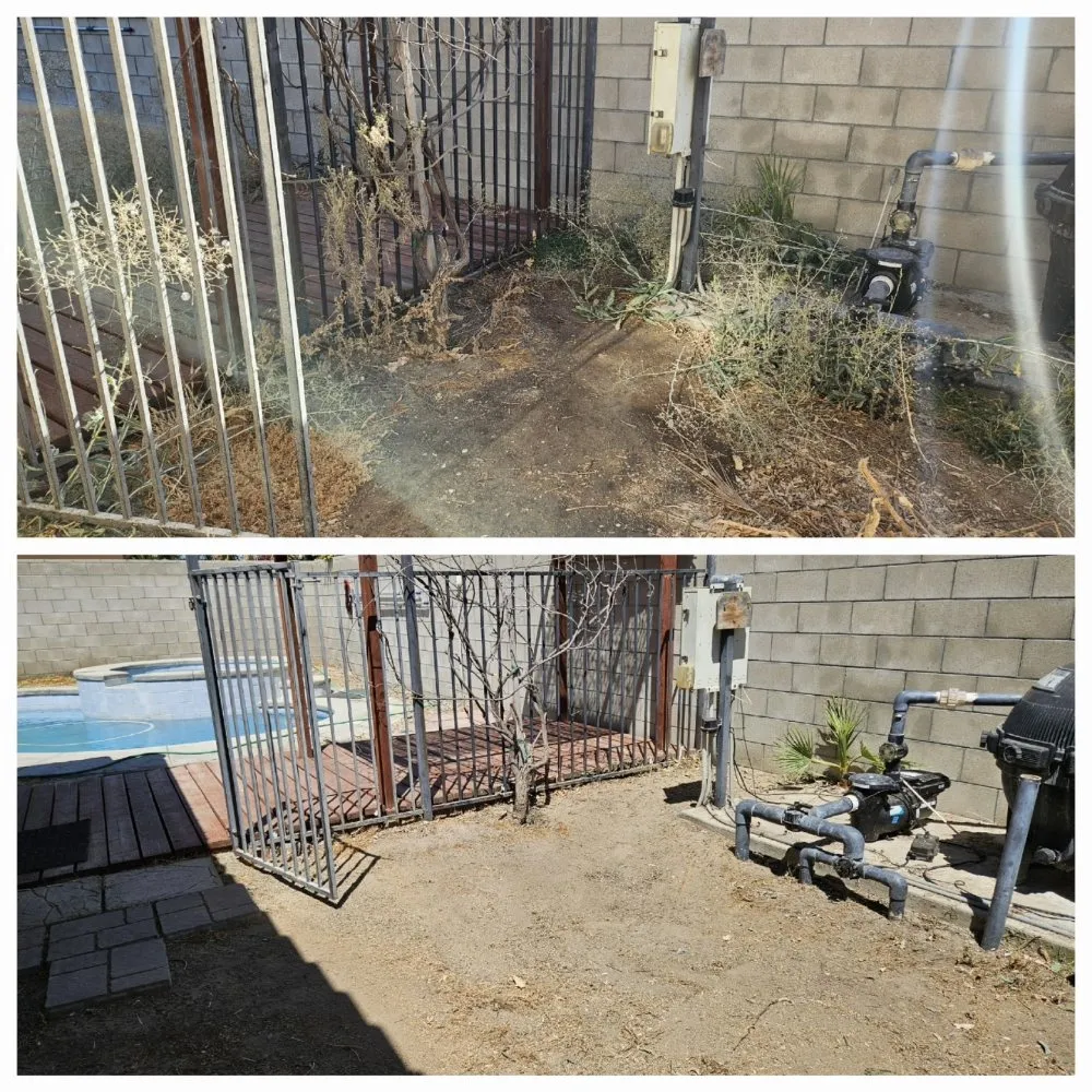 Expert landscape design in Bakersfield, CA by J&M Lawn Care