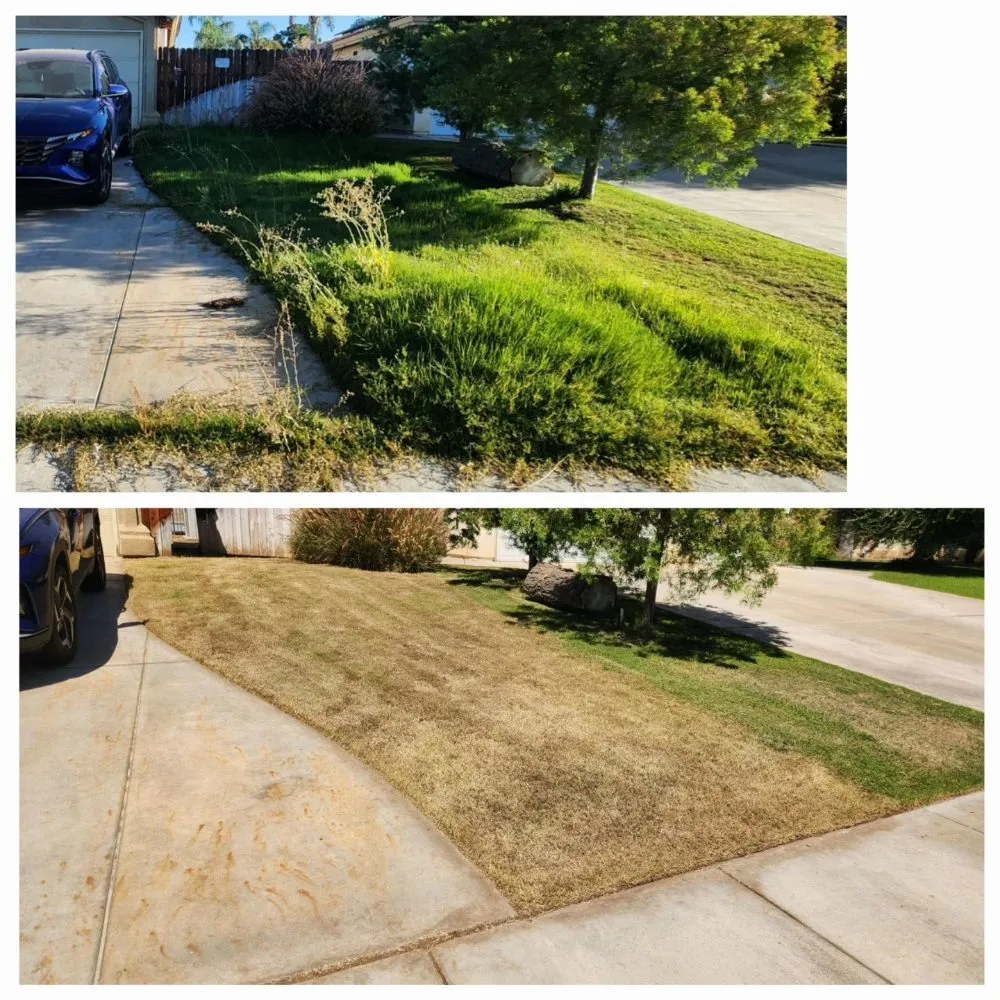 Local lawn care service in Bakersfield, CA by J&M Lawn Care