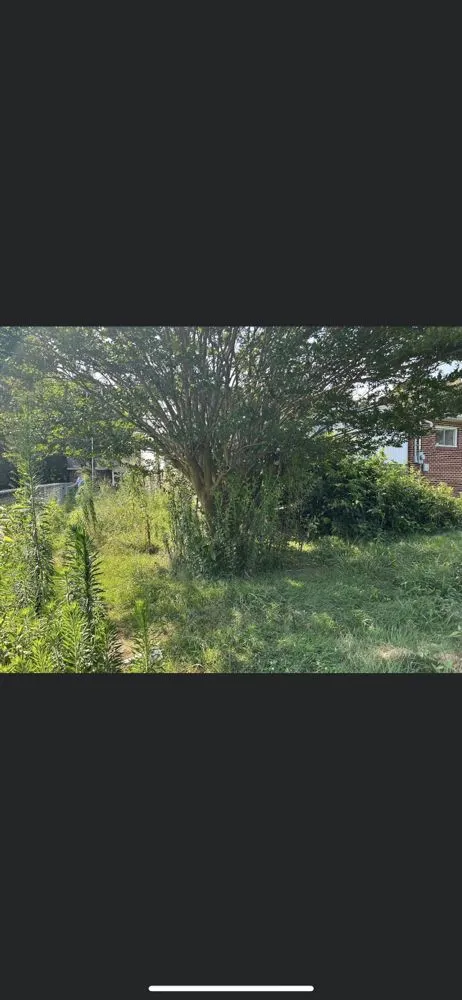 Reliable residential landscaping for residential properties across Athens, TN - J&M Lawn Care Cleaning Service