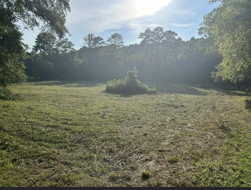 Reliable lawn mowing service for year-round maintenance across Athens, TN - J&M Lawn Care Cleaning Service