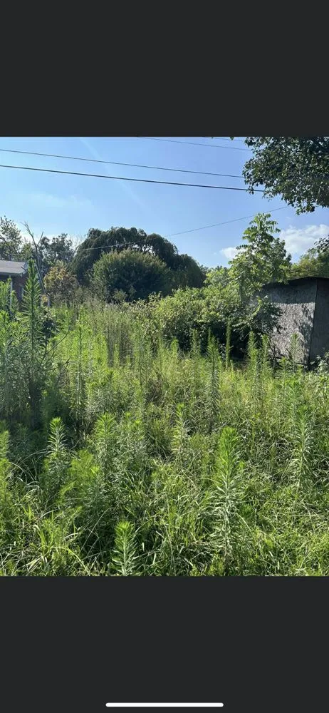 Reliable residential landscaping experts serving Athens, TN - J&M Lawn Care Cleaning Service