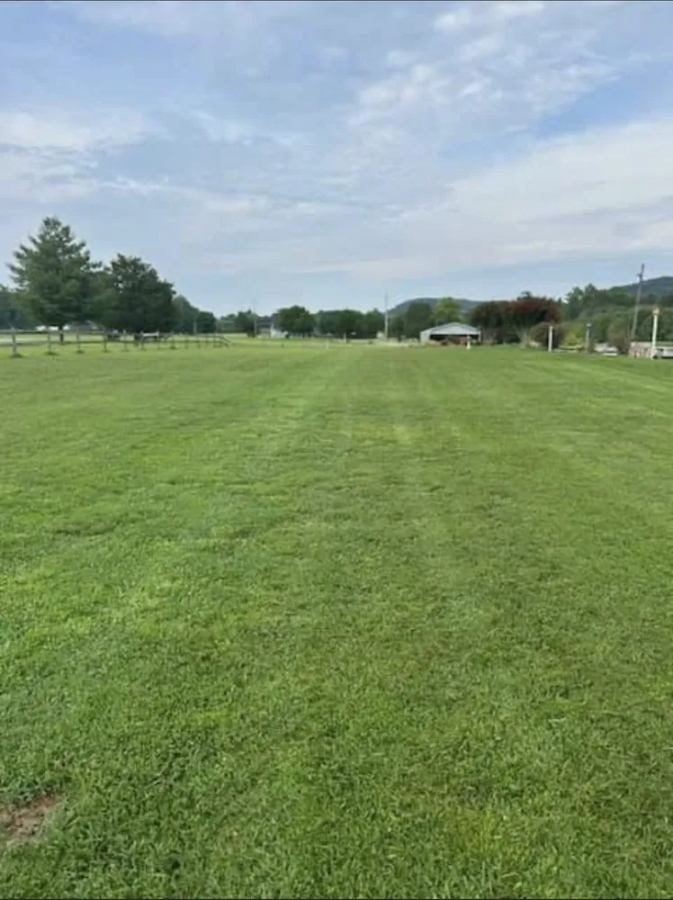 Trusted yard maintenance for beautiful yards in Athens, TN by J&M Lawn Care Cleaning Service