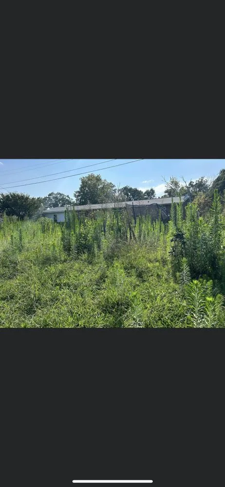 Affordable yard maintenance in Athens, TN - J&M Lawn Care Cleaning Service