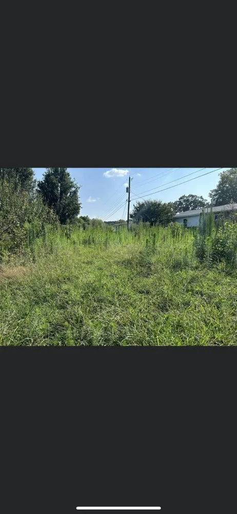 Reliable residential landscaping near you in Athens, TN by J&M Lawn Care Cleaning Service