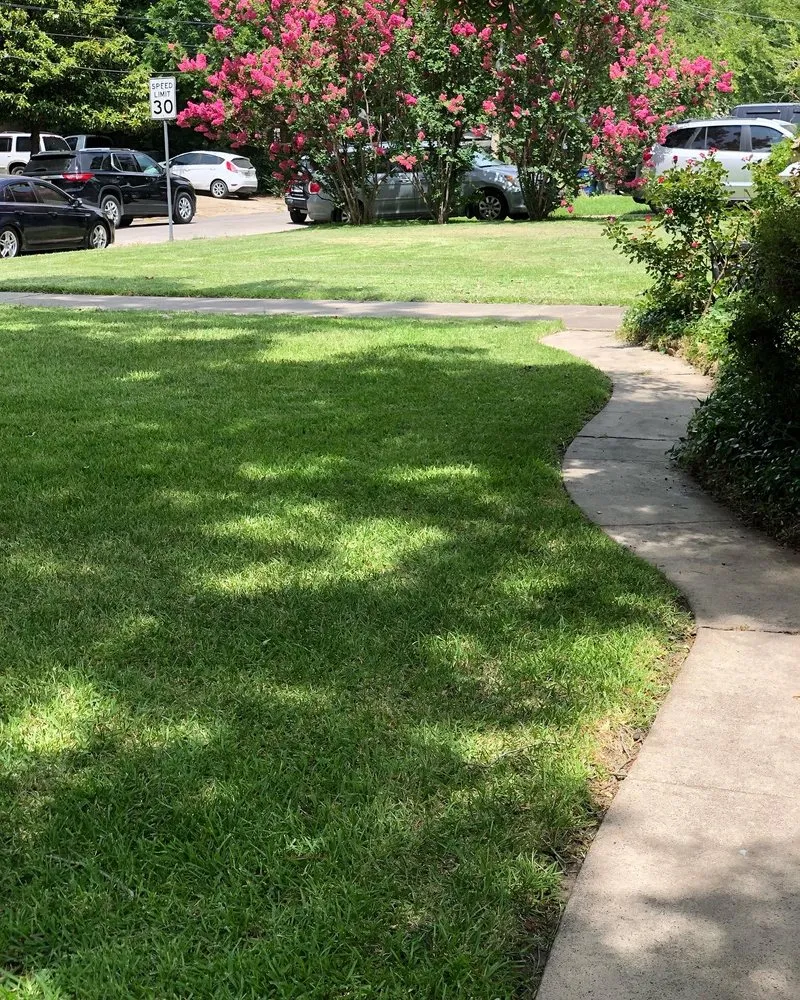 Expert garden landscaping with custom design in Greenville, TX by J&M Lawn Care