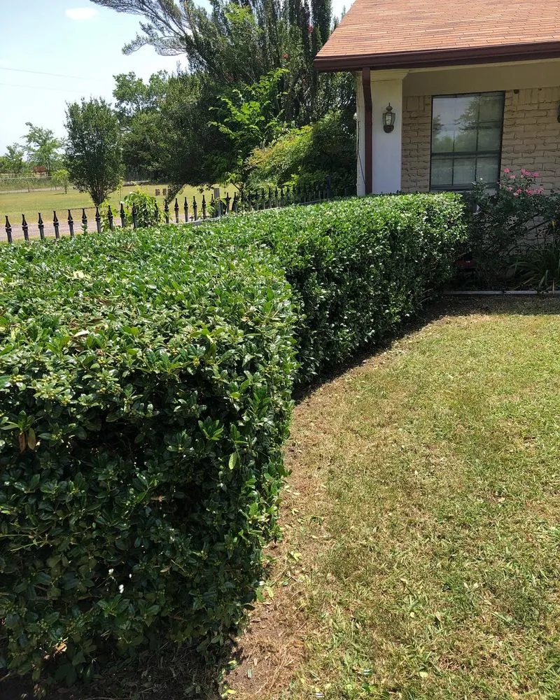 Affordable landscape installation experts serving Greenville, TX - J&M Lawn Care