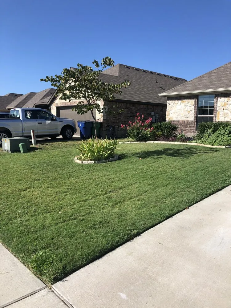 Custom yard cleanup service for beautiful yards in Greenville, TX by J&M Lawn Care